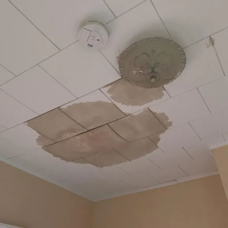 Ceiling Water Damage Repair in Lebanon, OH