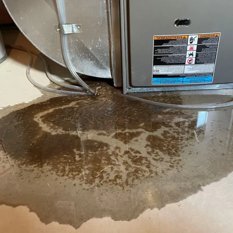 Pipe Burst and Leak Restoration in Lebanon, OH