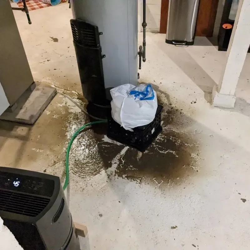 Sewage Backup Cleanup Service in Lebanon, OH